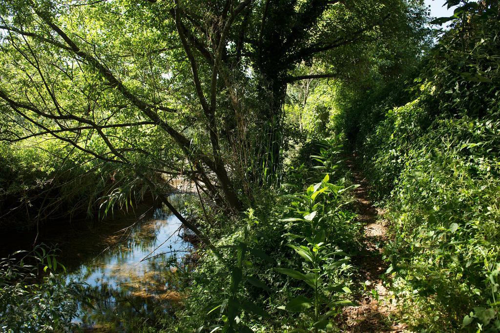 מונצ'יק Recanto Da Ribeira Casas De Campo מראה חיצוני תמונה